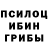 Псилоцибиновые грибы Psilocybine cubensis Baktur Annabekov